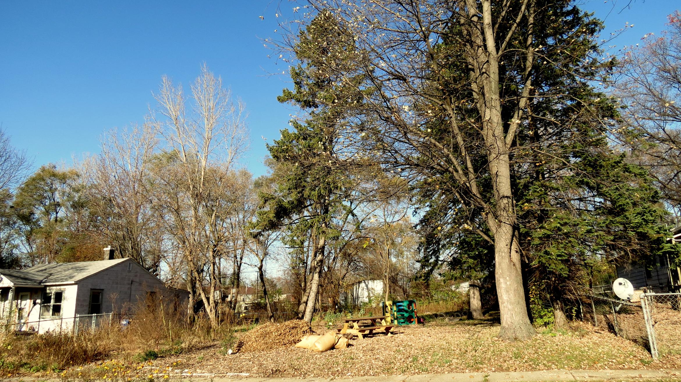 Purchasing Detroit's Vacant Land Stories from the Side Lots WDET