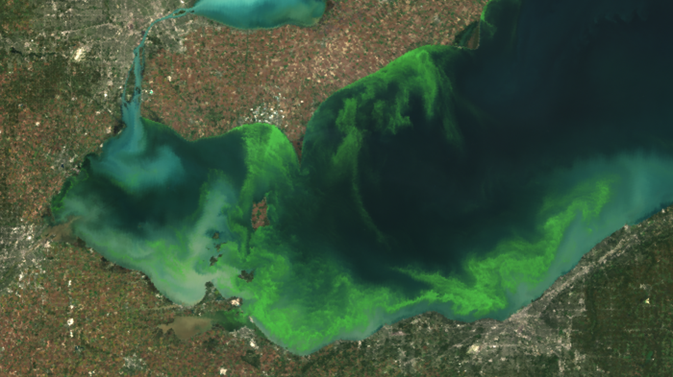 Scientists To Study What Makes Some Lake Erie Algae Blooms So Toxic Wdet