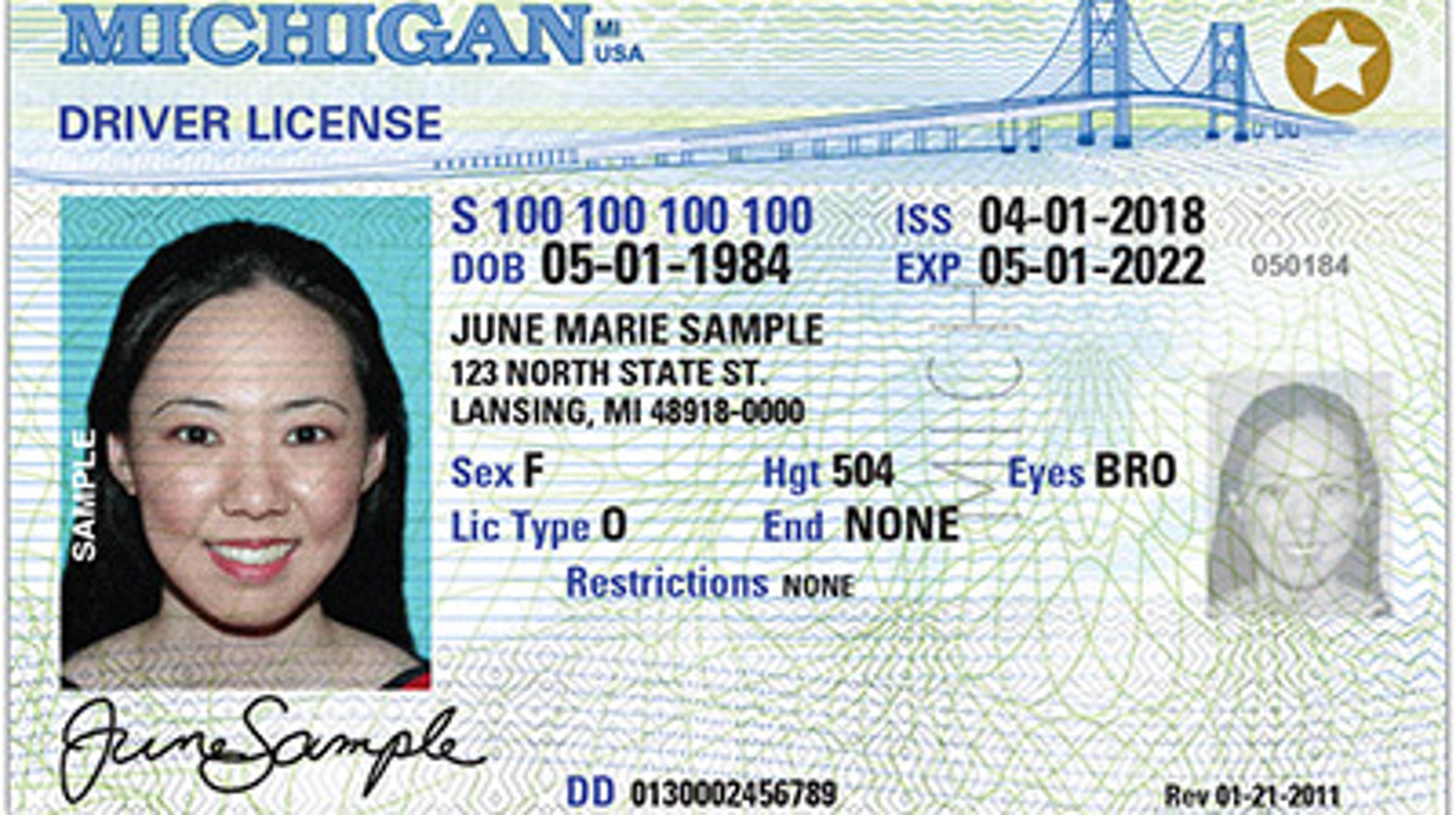 Michigan REAL ID What Is It and Why Do I Need One To Fly?