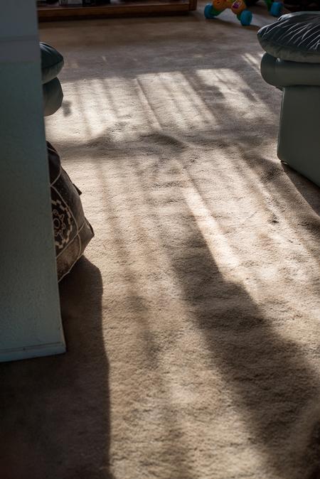 With more time on my hands than ever before, I take the time to admire the light and shadows in the living room at my home.Taken by Rachel Elise Thomas for WDET