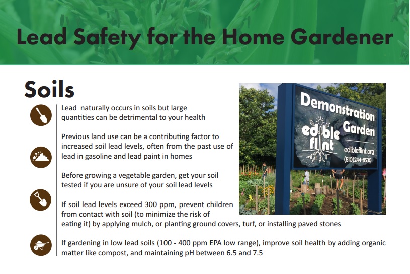 How to Avoid Lead Exposure While Gardening this Summer WDET