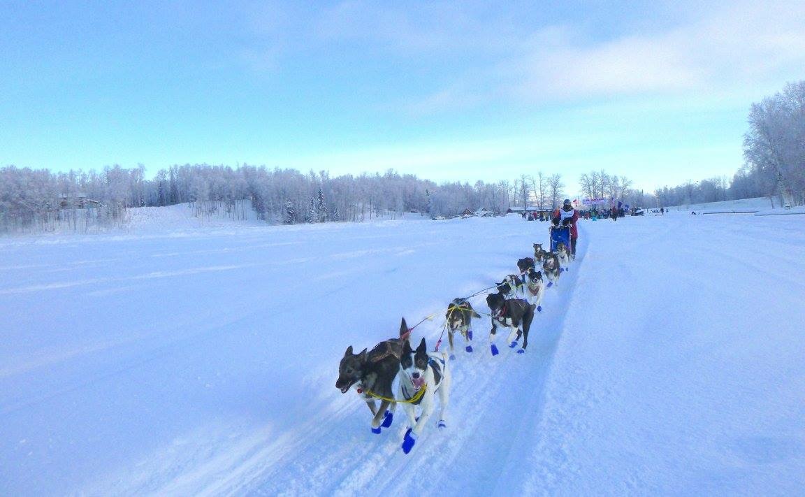 Michigan Teen Completes Junior Iditarod Race in Alaska | WDET