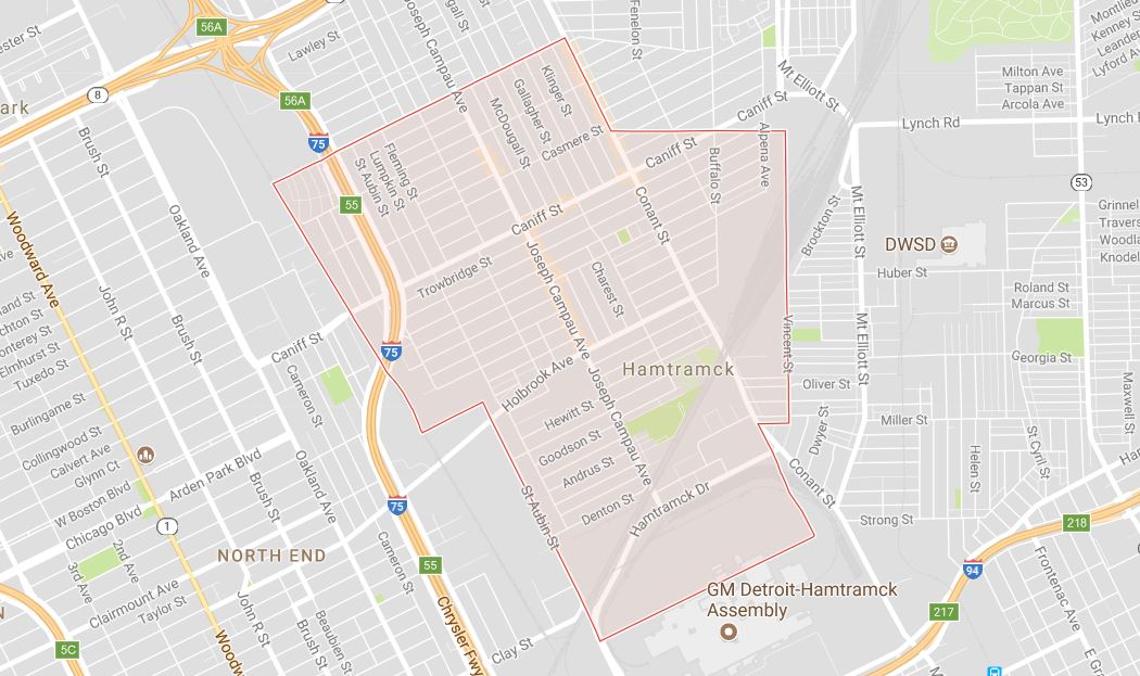 Voter Guide What are the Issues for Residents of Hamtramck? WDET