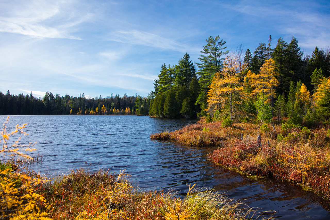 Nature Conservancy Expanding Wildlife Corridor in Michigan's Upper ...