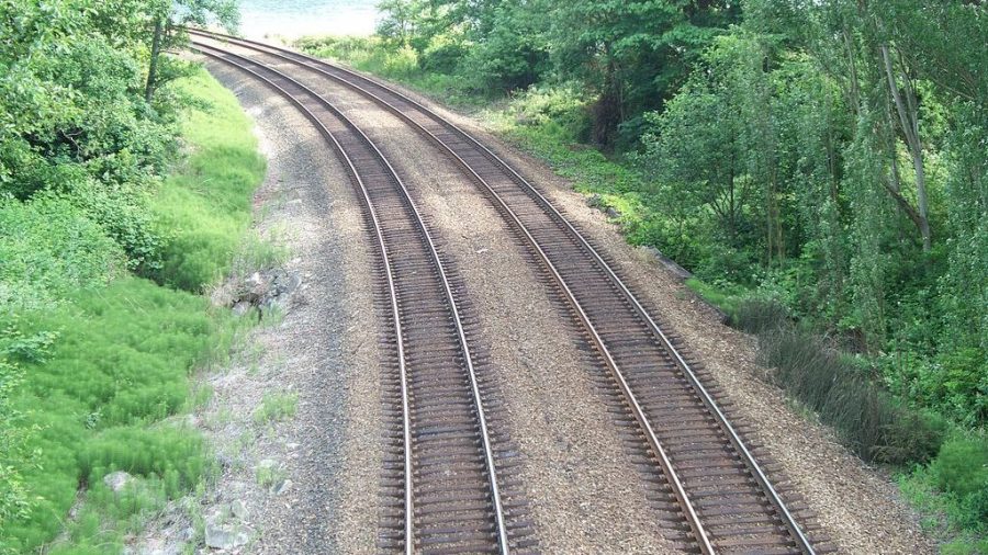 two parallel railroad tracks in a wooded area