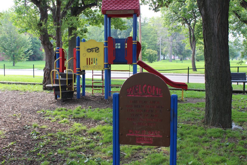 Pingree Playscape