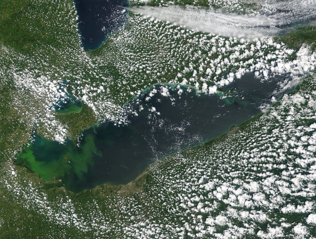 Algae bloom from space