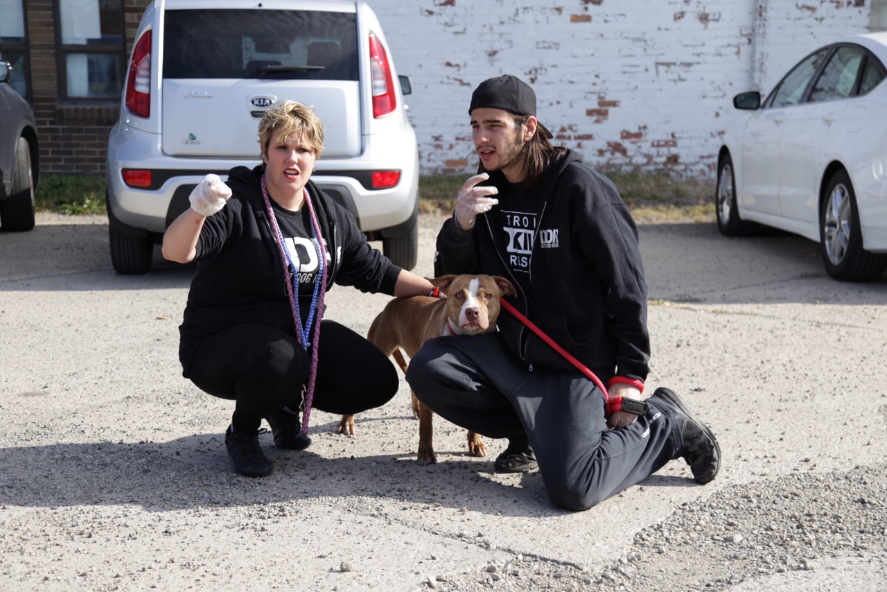 Detroit Dog Rescue Takes In Animal Control Dogs - WDET  FM
