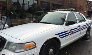 white police car with blue and red decorations