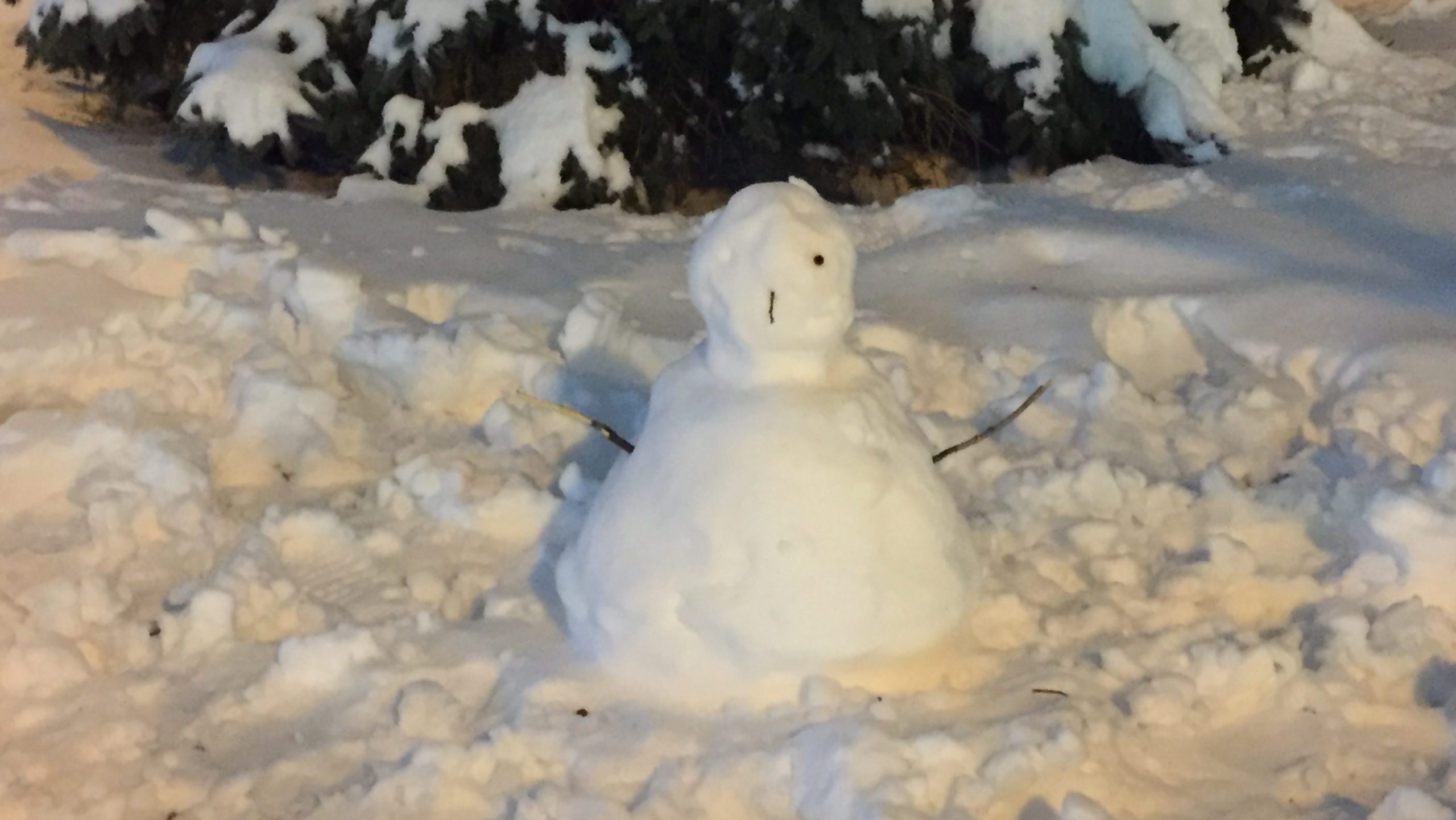 Detroit’s winter outlook is getting warmer and wetter