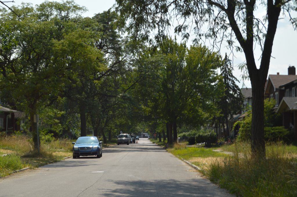 Neighborhood Street Highland Park Houses 8.9.17-jn