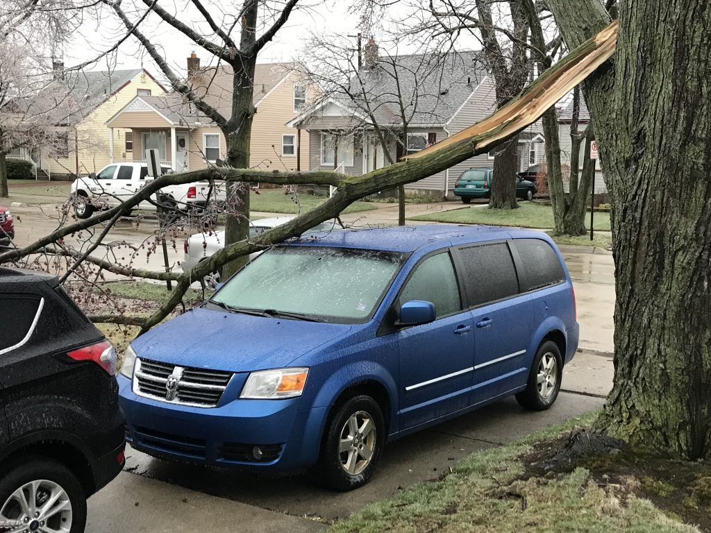 Ice storm damage 04/16/2018