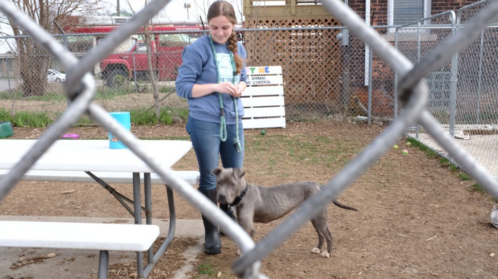 Detroit Animal Care and Control