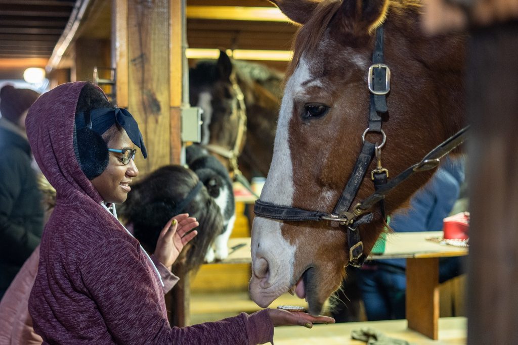 Detroit Horse Power