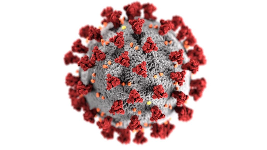 Coronavirus (CDC)