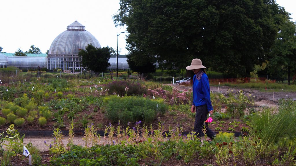 Belle Isle Oudolf Garden