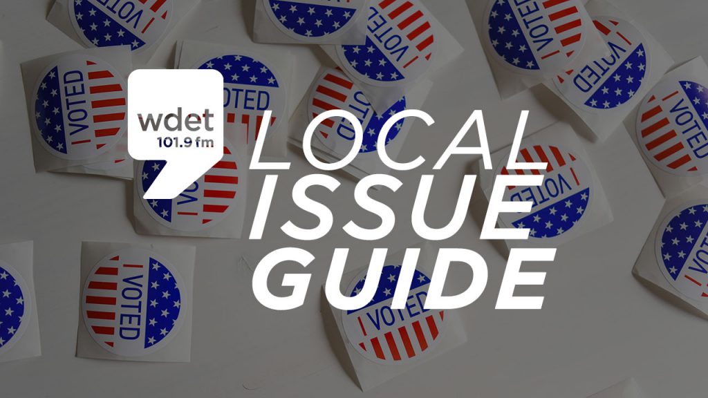 Ballot Guide 2020