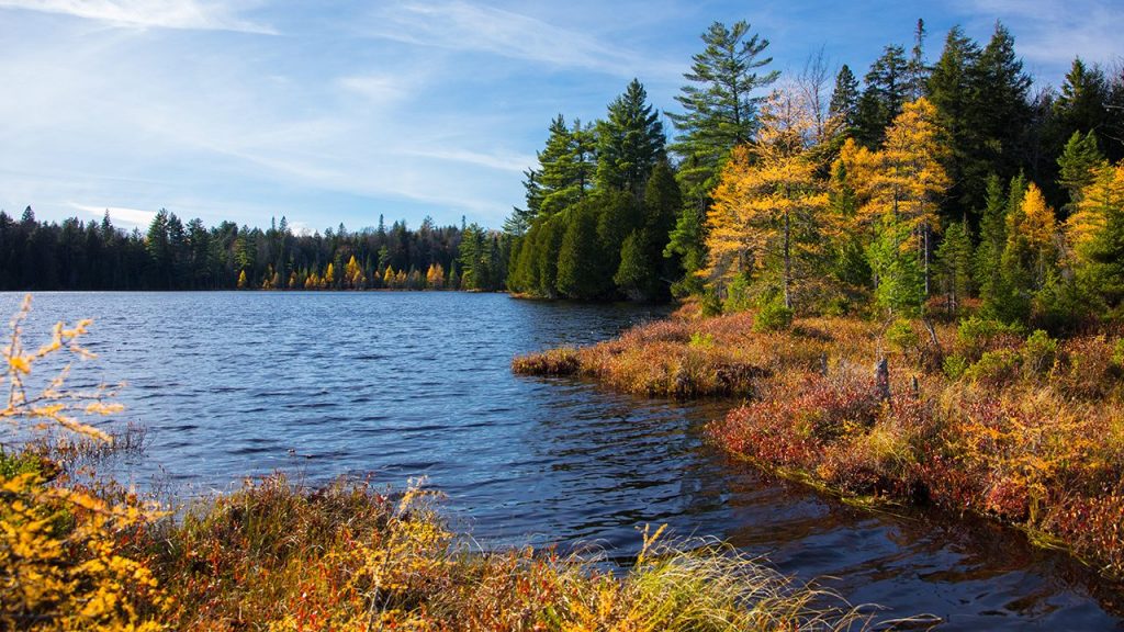 Wilderness Lakes Park Upper Peninsula