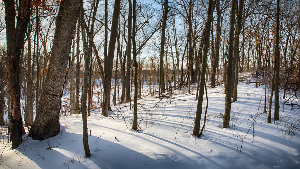 winter in Michigan