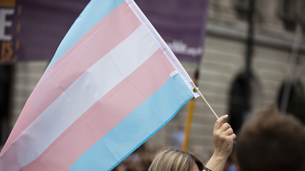 A transgender flag being waved at LGBT gay pride march