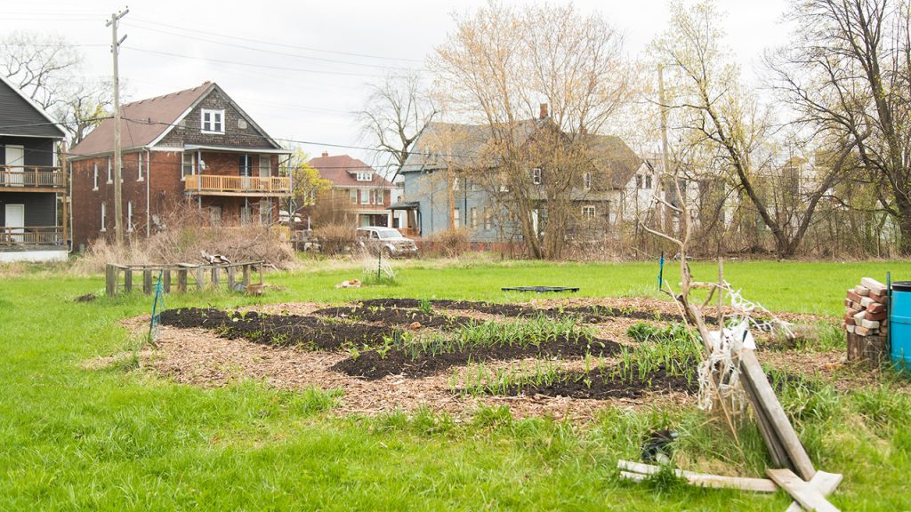 Detroit beautification project east side