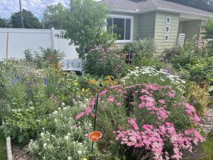 A lush food forest grows in front of a metro Detroit home.