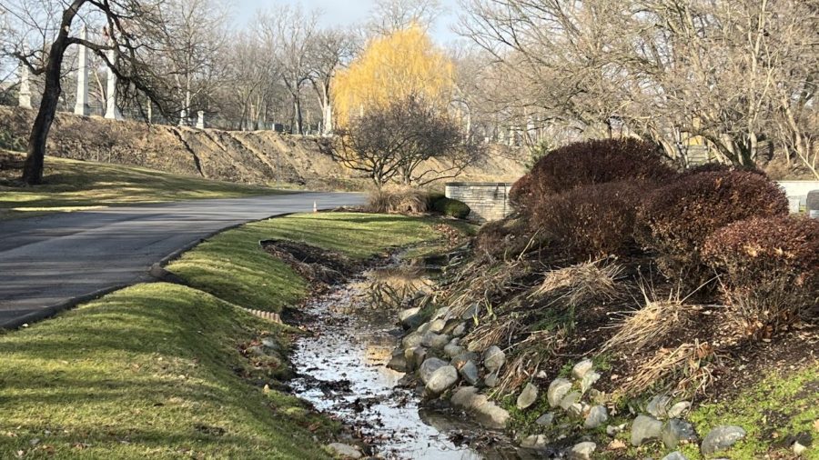 a creek runs through a grassy area with a paved sidewalk to the left and rocks to the right