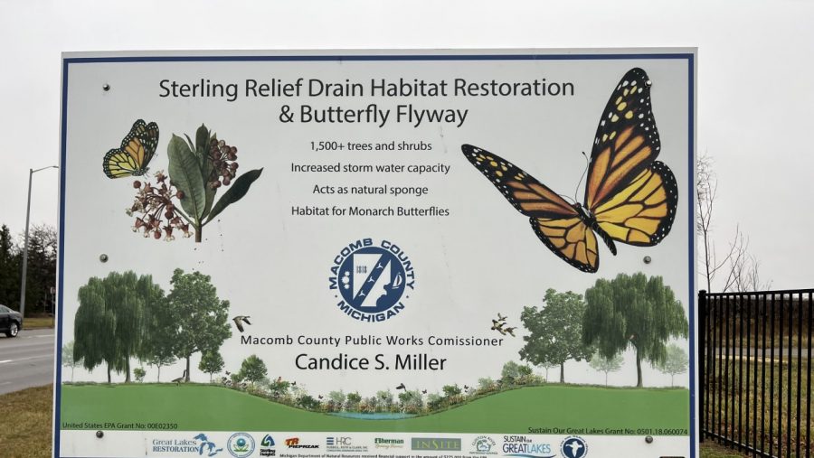 Sign with illustrations of trees and butterflies reads, "Sterling Relief Drain Habitat Restoration and Butterfly Flyway"