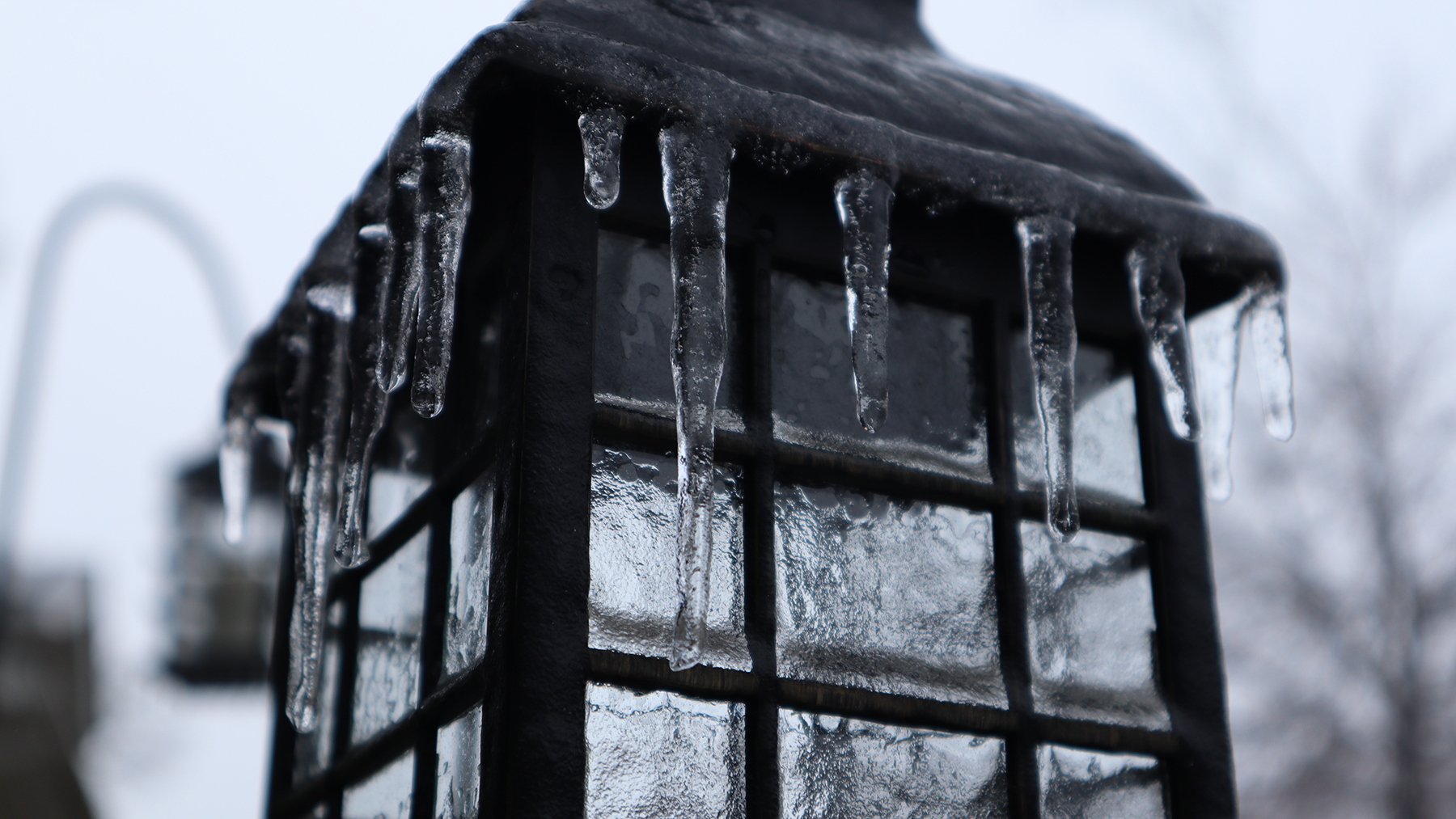 Photo of ice forming over a street lantern.