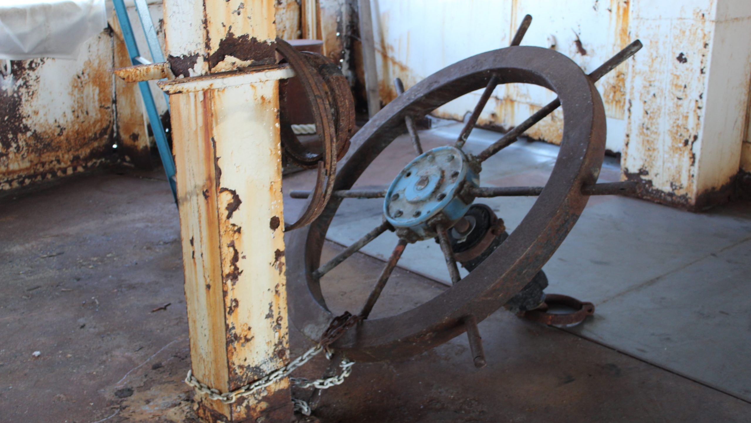 The steering wheel that kids used to take photos with on the ship.