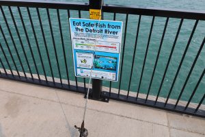 A sign that reads, "Eat Safe Fish from the Detroit River"