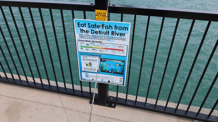 A sign that reads, "Eat Safe Fish from the Detroit River"