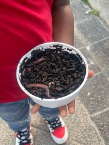 A young boy holds a cup of dirt and worms