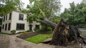 A large tree lies uprooted on a two-story house in Grosse Pointe Farms, Mich., after a severe storm Wednesday, July 26, 2023.