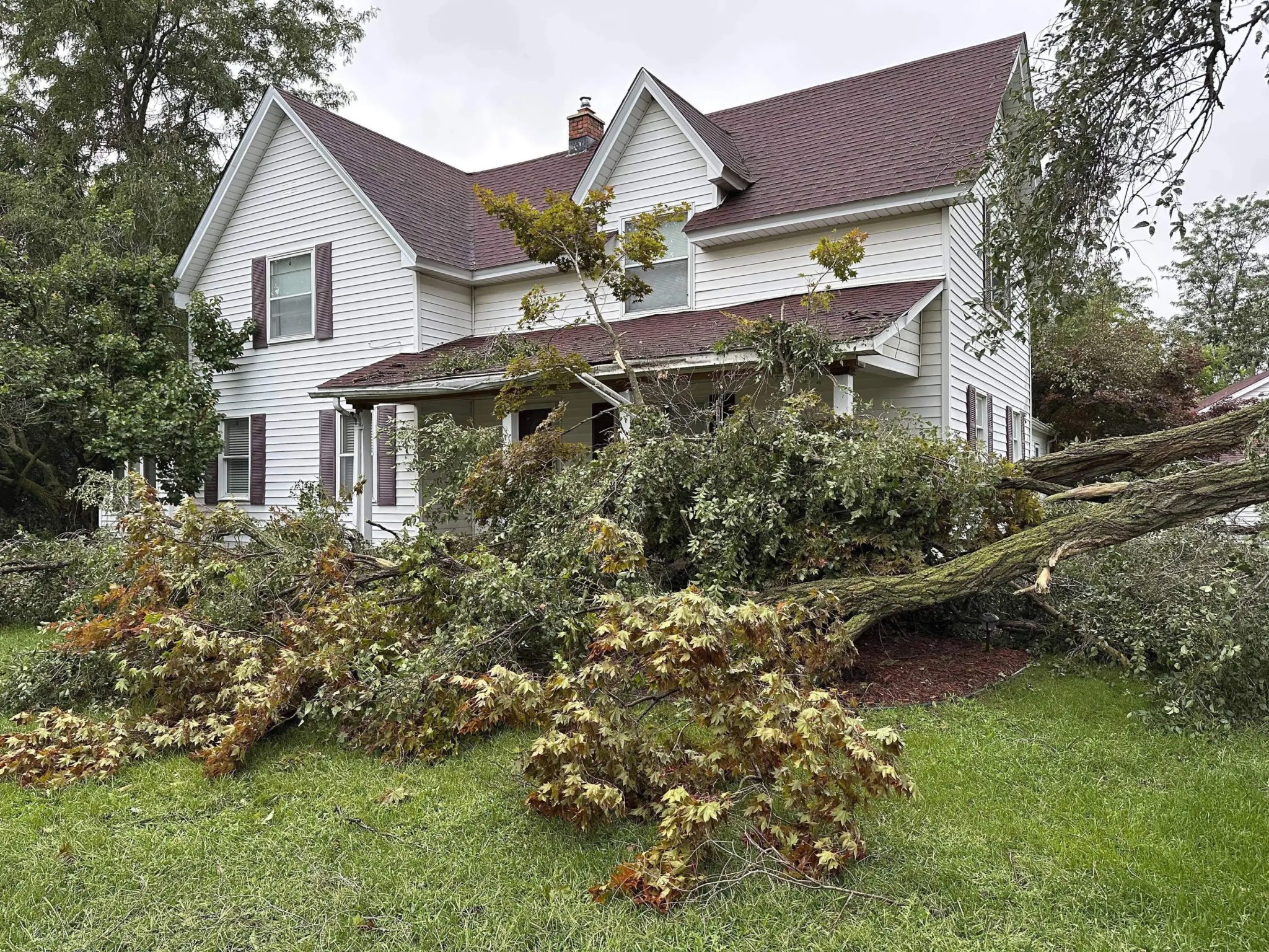 A tree is uprooted outside a home on Aug. 25, 2023, in Canton Township, Mich.
