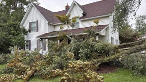 A tree is uprooted outside a home on Aug. 25, 2023, in Canton Township, Mich.