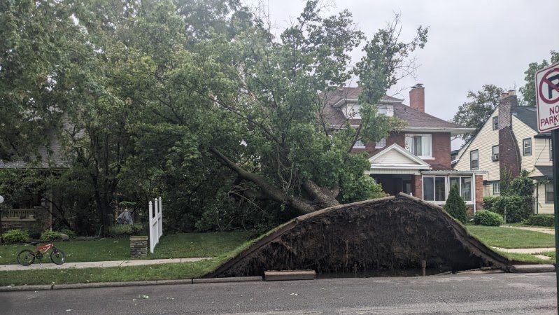 A fallen tree on a house after a storm