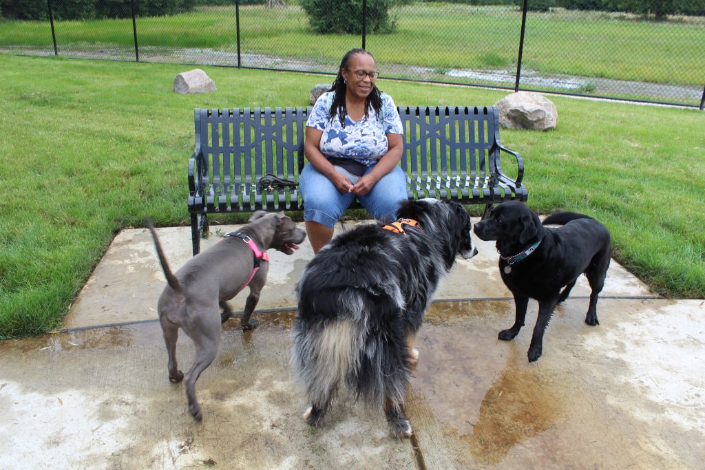 A woman sits by a bench with three dogs in front of her.