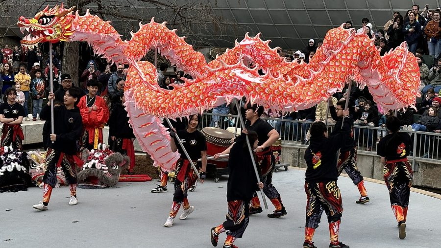 This Lunar New Year, which began on Feb. 10, is the Year of the Dragon.