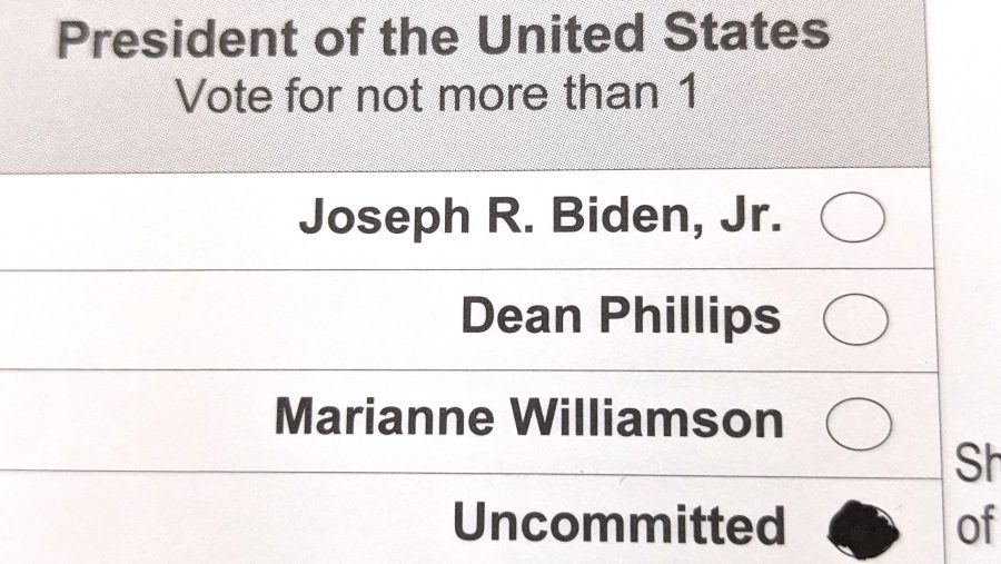 2024 Democratic presidential primary ballot.