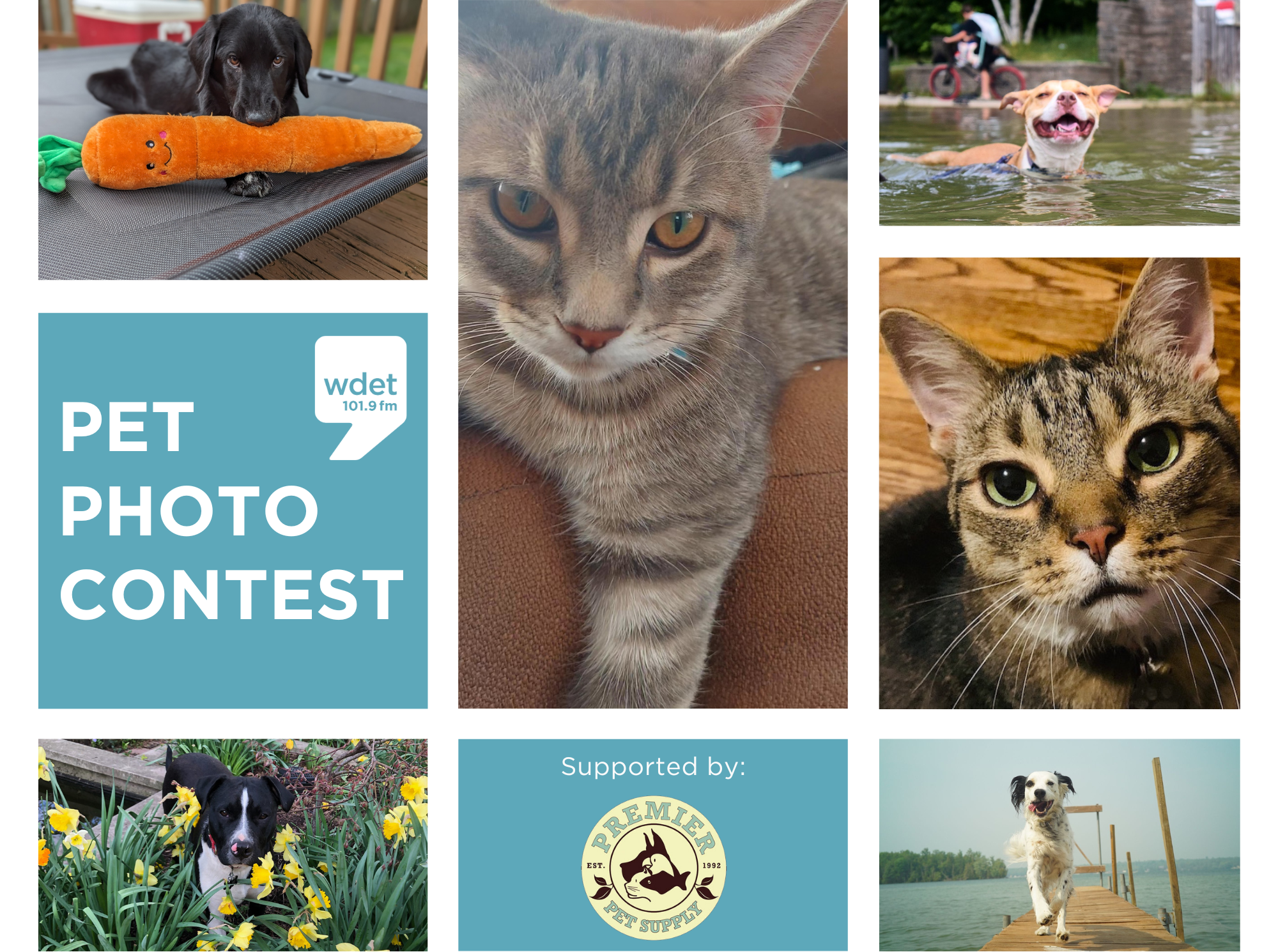 WDET pet photo contest