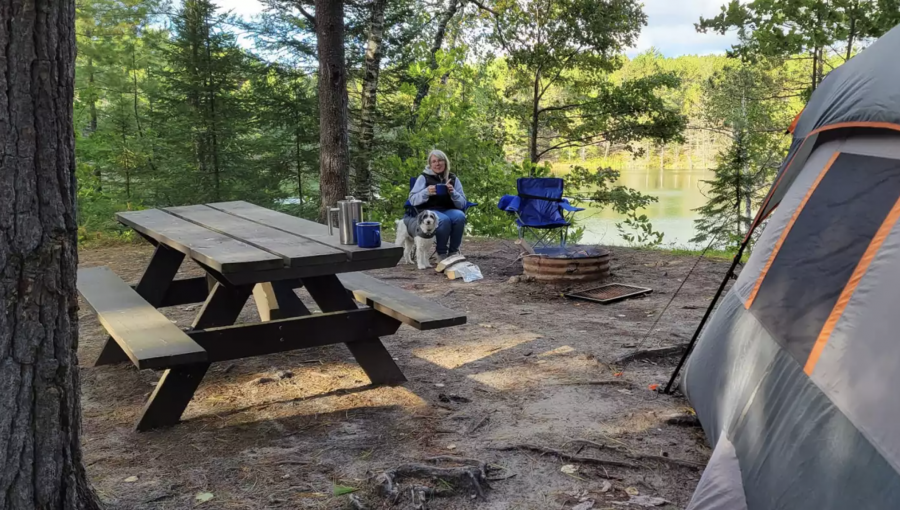 A bill introduced in the Michigan House would make camping reservations open only to state residents for two weeks at state parks and forests.