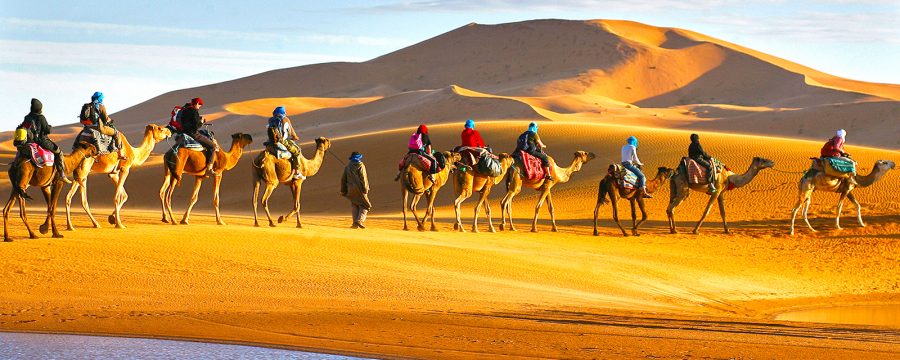 Caravan of tourists passing the desert on camels with lake in foreground