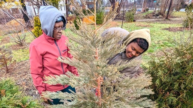 Pamela McGhee and Robyn Redding. Not sure if you need that kind of detail, but Robyn is our seasonal employee who waters the trees, and she also volunteers. Pam is her Mom who visits, attends events and volunteers. Volunteers stand next to a six-year-old sequoia tree in "Treetroit 2," a small tree park created by Arboretum Detroit on the corner of Elmwood and Theodore streets in Poletown.