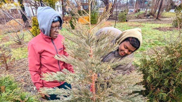 Volunteer Pamela McGhee (left) and her daughter, Arboretum Detroit employee Robyn Redding, stand next to a six-year-old sequoia tree in "Treetroit 2," a small tree park created by the arboretum in Detroit's Poletown East neighborhood.