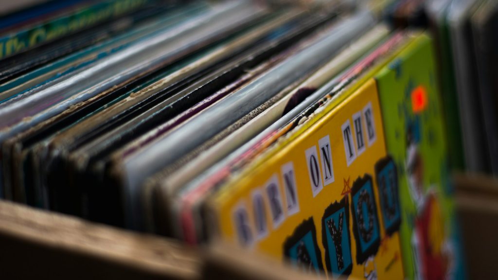 A photo of vinyl records at a record store.