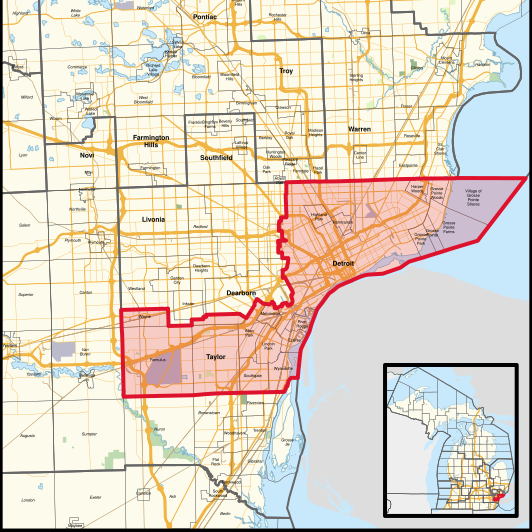 Michigan Primary 2024 Voter Guide: 13th Congressional District - WDET ...