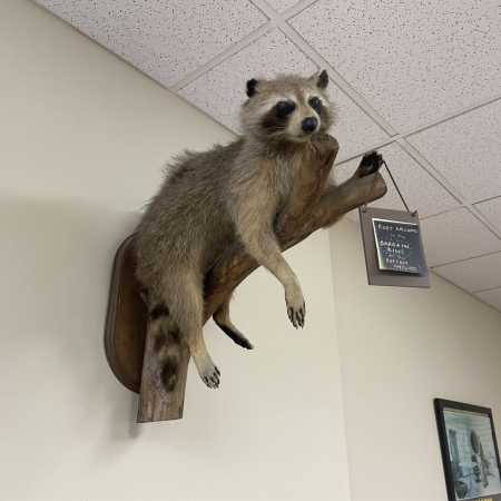 The store's walls are sparsely decorated with unique decor like a mounted stuffed raccoon and framed posters of the 70s sci-fi film "Solaris."