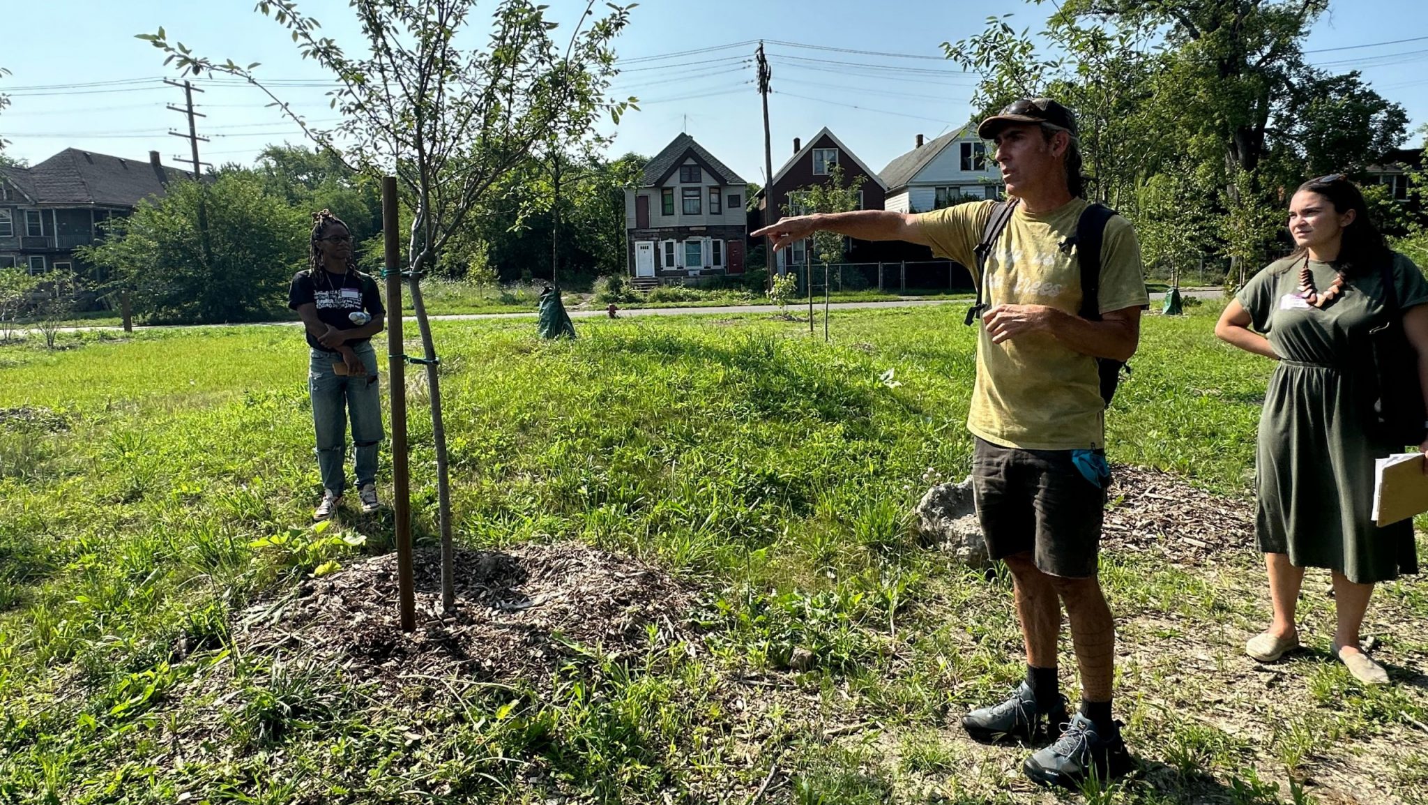 Nonprofit reclaiming nature in Poletown with 'Circle Forest ...