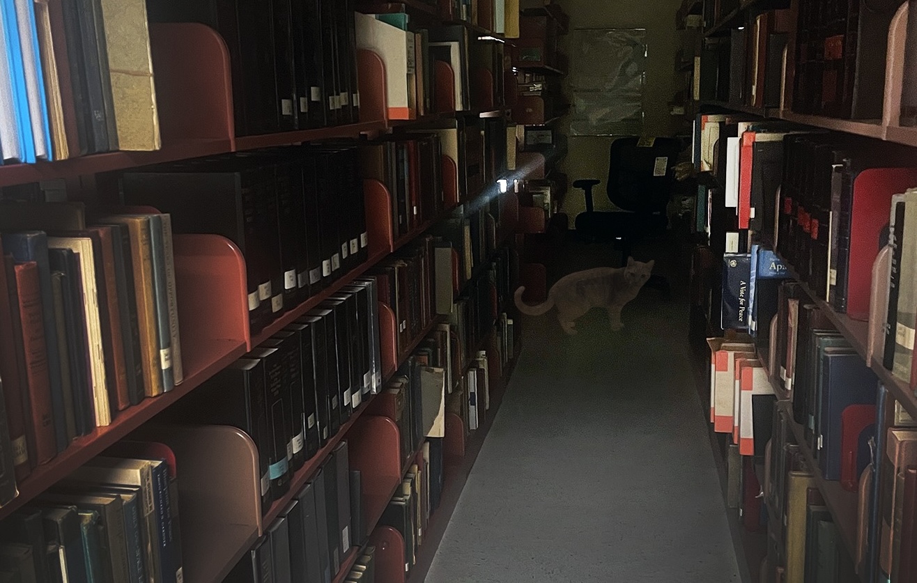 Some staff at the Detroit Public Library Main Branch have reported rumors of a "ghost cat" lingering around the stacks in the basement of the library.